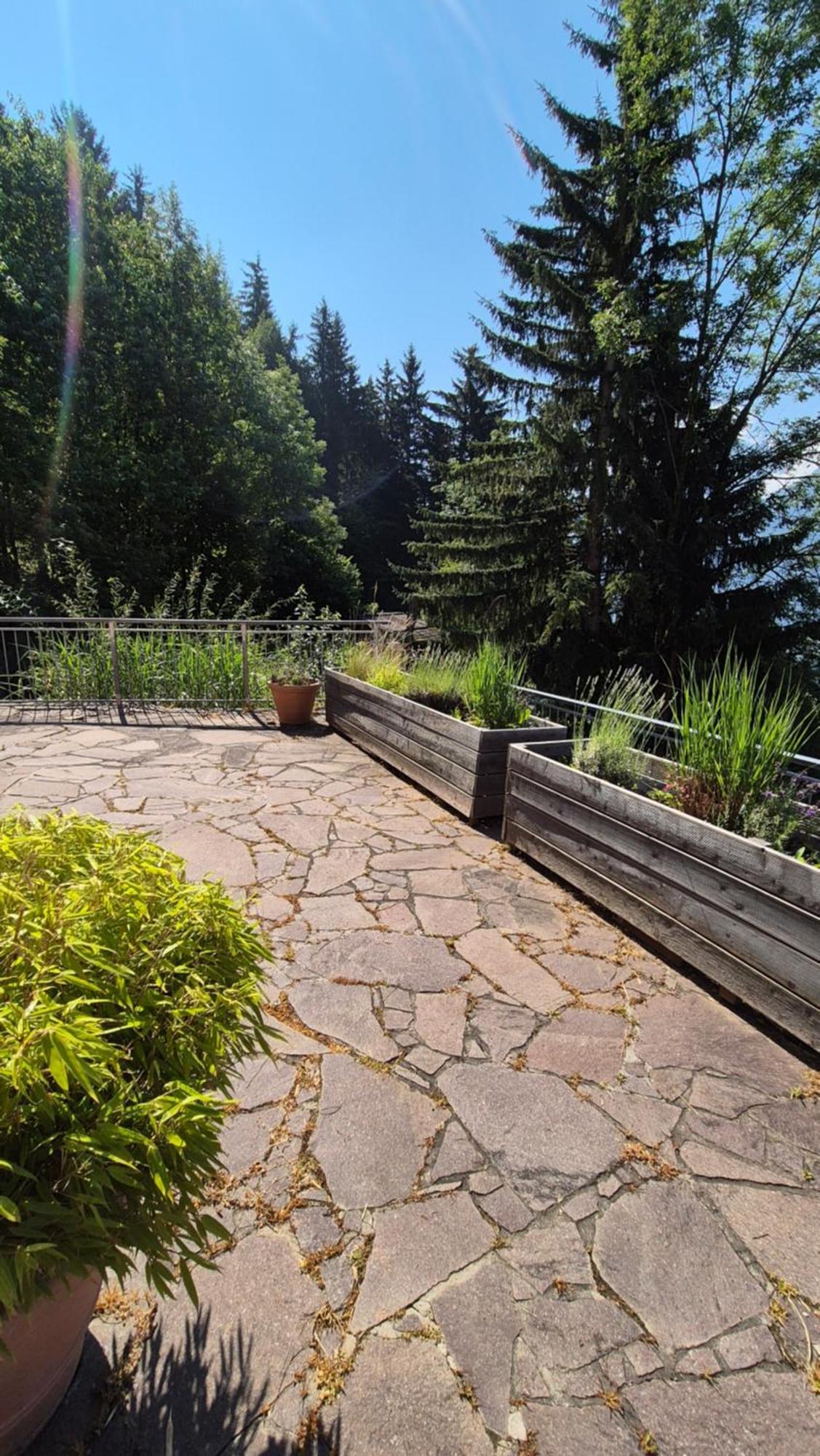 Ferienwohnungen Bergart Iselsberg Zewnętrze zdjęcie
